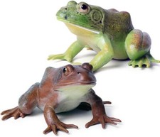 Baby Kids Frog Toys Forest Animals Figurines Rain Forest Miniature Woodland Toys