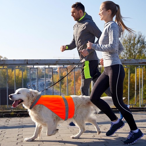 Blaze Orange Dog Vest High Visibility Outdoor Dog Safety VestDog Hunting Ves - Picture 4 of 6