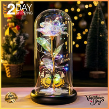 Valentines Day Rose Gifts for Her Birthday Gift for Women Galaxy Glass Rose