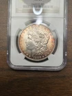 1886 Morgan silver dollar NGC MS 64 toned beauty on both sides GENUINE GUARANTEE