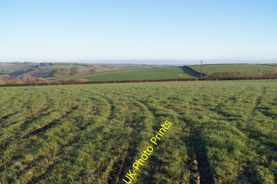 Photo A2 Farm land east of Stable Green Hollocombe  c2014