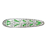 Michigan Stinger Magnum Spoons SH28 GREEN BUBBLE, Lenght mm 120 Fishing - Picture 1 of 1