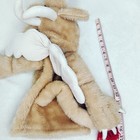 Bild 6 von 6