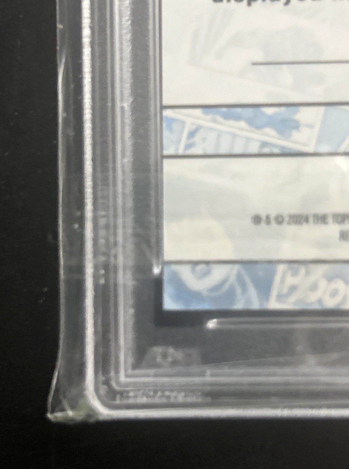 Picture 10 of 11