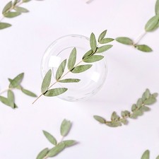 12PCS Real Pressed Dried leaf, leaves with stem for art, candle DIY FSS82