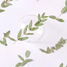 12PCS Real Pressed Dried leaf, leaves with stem for art, candle DIY FSS82