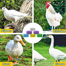 100Pcs 20mm Chicken Leg Rings 5 Colors Numbered Chicken Identification Leg Ba...