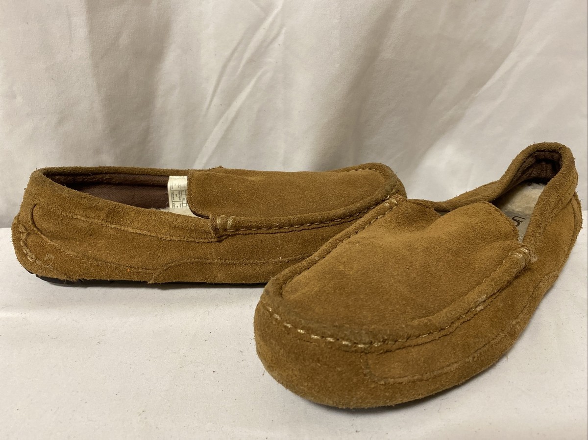 UGG Men