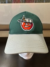 Fort Wayne TinCaps MiLB OC Sports Strapback Adjustable Baseball Hat Cap Clean