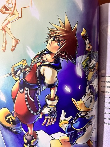 Guida strategica kingdom Hearts Chain Of Memories Rara - Foto 3 di 4