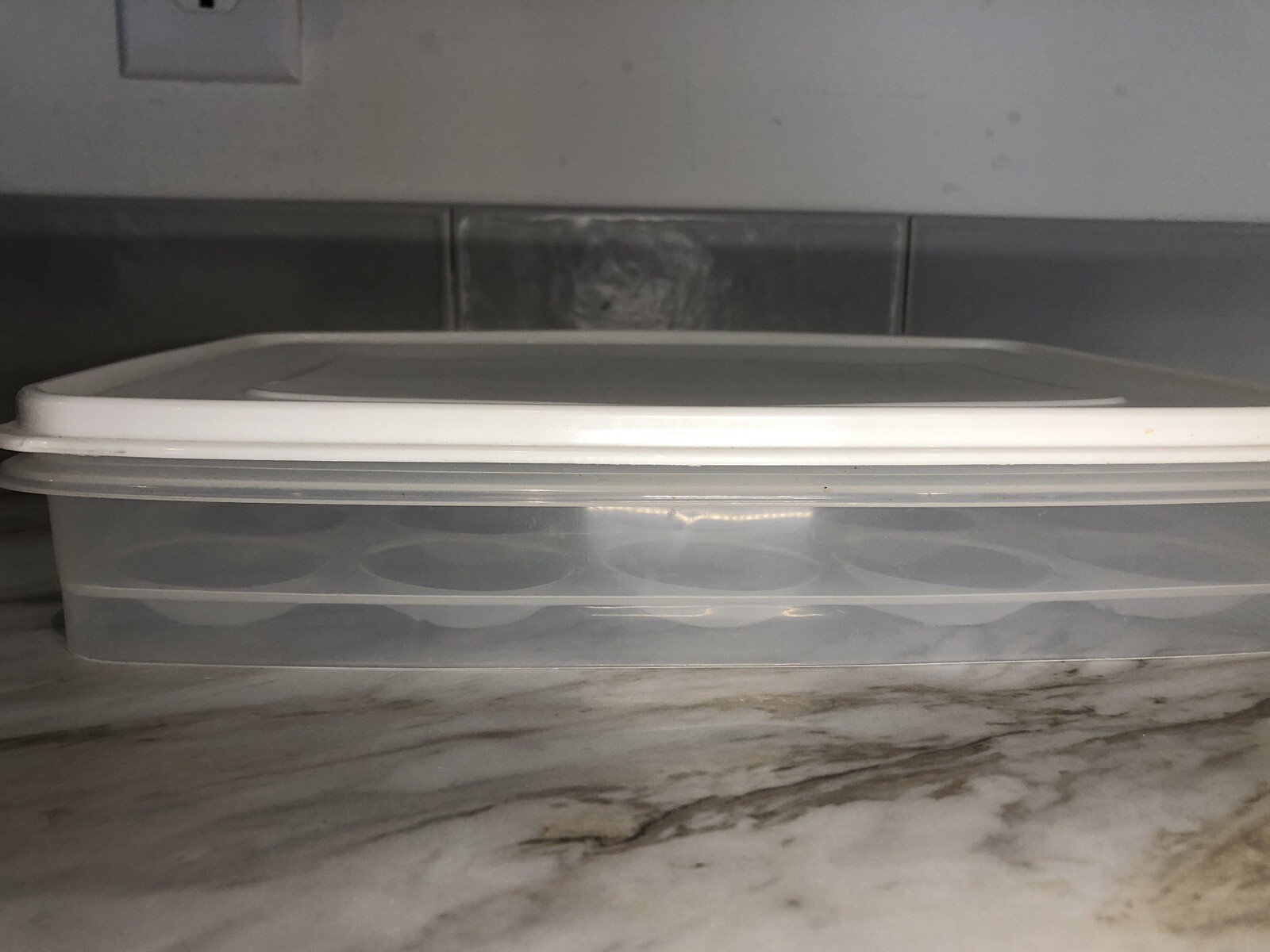 Rubbermaid Egg Keeper Storage Holds 20 Jumbo Eggs 8.5 x 12.8" USA eBay