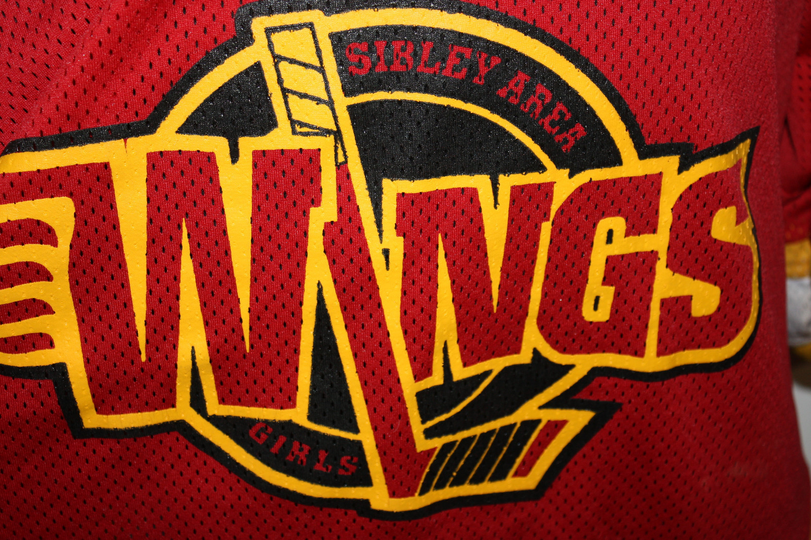 Bakka Minnesota Sibley Area High School Wings Girls Hockey Red Jersey L