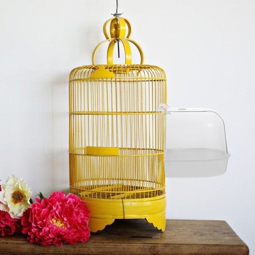 2Pcs Bird Bathing Toy Clear Cage le moins cher Parrot Shower Basins