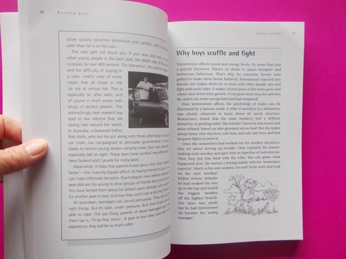 RAISING BOYS - WHY BOYS ARE DIFFERENT... By STEVE BIDDULPH **NEW UPDATED EDITION - Picture 5 of 5