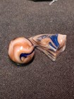 Mint Plus Condition Blue Raven Ravenswood Marble.62"  With Cullet — photo 2