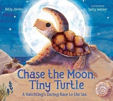 Kelly Jordan Chase the Moon, Tiny Turtle (Hardback)