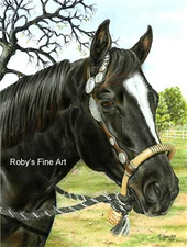 Black Quarter Horse Art Print 5x7 Giclee Image by Realism Artist Roby Baer PSA