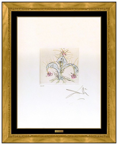 Salvador Dali Lillie Original Handsigniert Farbe Ätzung Gerahmt Blumen Kunstwerk