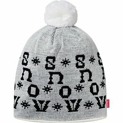 Bonnet de neige Supreme gris OS F/W 14