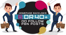 6 High DR40 Plus Homepage PBN Backlinks