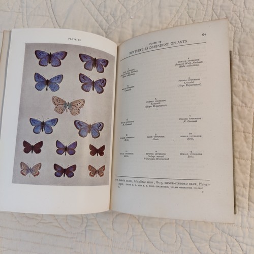 Butterflies The New Naturalist No 1 E.B. Ford Rare 1946 Vtg 2nd print Entomology - Foto 13 di 24