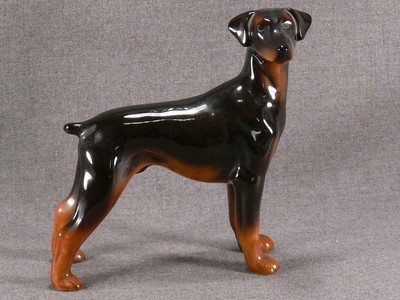 pinscher dog large
