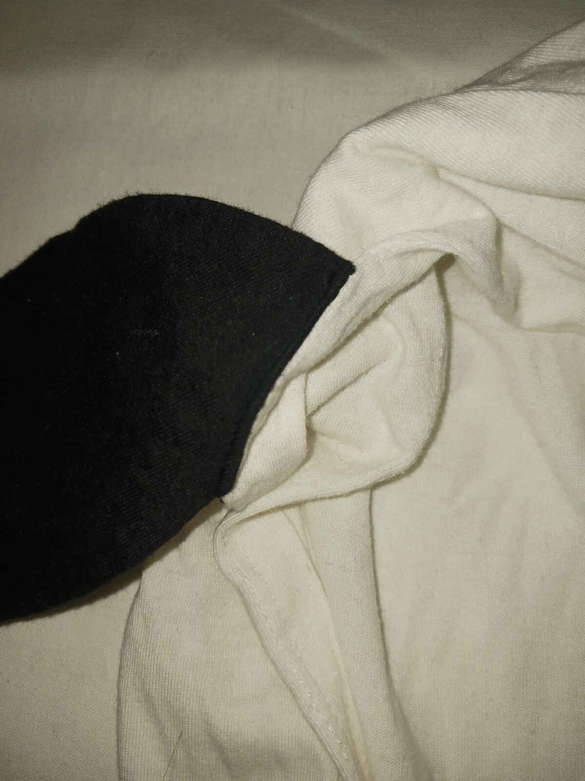 Bild 11 von 12