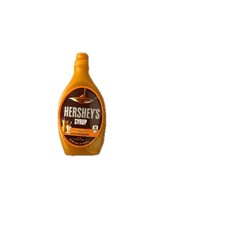 Mini Brands Fill the Fridge Hersheys Caramel Syrup COSTCO Exclusive 1:6 Scale