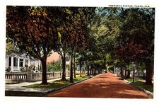 Postcard ROAD SCENE Tampa Florida FL d/20 AU8544