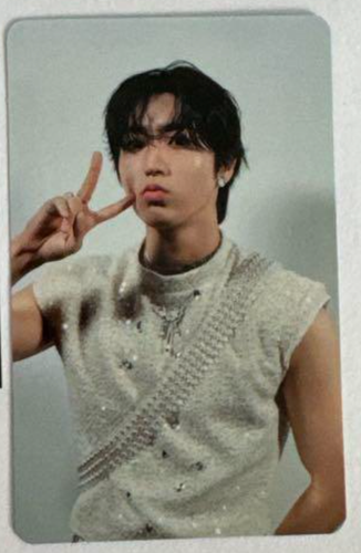 Stray Kids GIANT JAPAN First Limited A ver. Offizielle Fotokarte Fotokarte PC - Bild 31 von 60