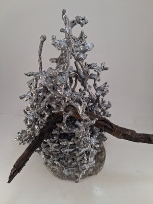Ant Bed Aluminum Casting #58