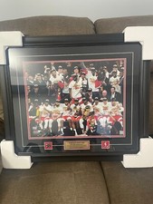Toronto Raptors 2019 NBA Champions Team Celebration 26x30 Picture Framed Photo,