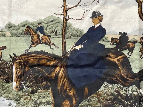 RARE! NEW PAIR Ralph Lauren STANDARD EQUESTRIAN Brianna Horse HUNT PILLOWCASES - Picture 12 of 14