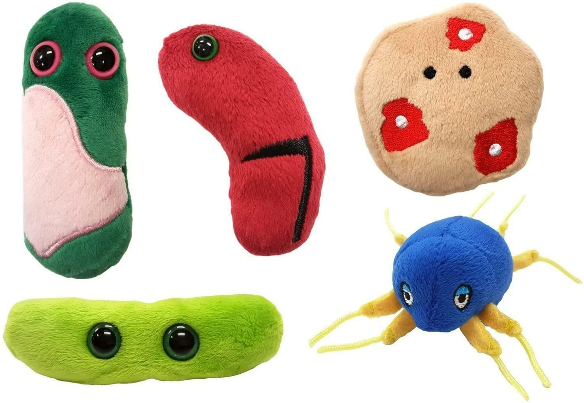 The History of The Plush Toy