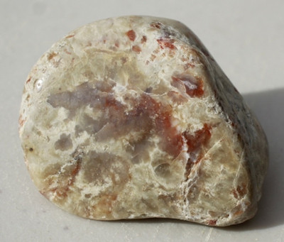 Dinosaur Coprolite (Poop)   Tumbled Palm Stone 4.1 oz.  . 2.5'' wide