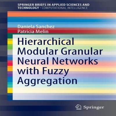 Hierarchical Modular Granular Neural Networks with Fuzzy Aggregat