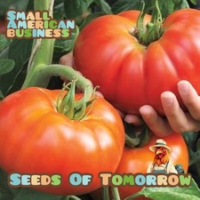 200 Beefsteak Tomato Seeds-with Bonus  Organic Non-GMO Heirloom