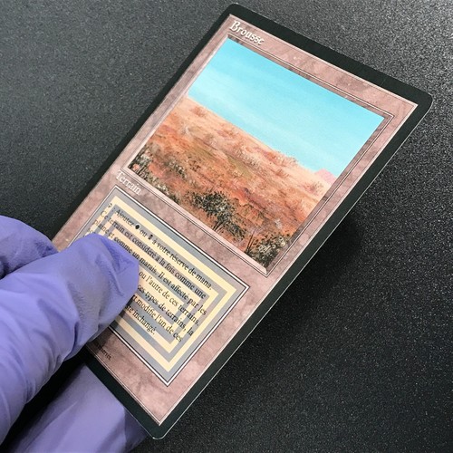 SCRUBLAND dual land Foreign Black Border French MTG Near mint Unplayed - Picture 19 of 20