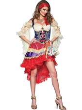 Gypsy Good Fortune Teller Women's Costume