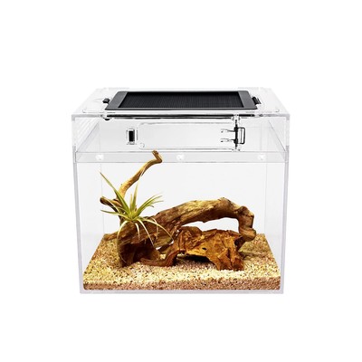 Mini Reptile Terrarium,8'' x 8''x 8'' Reptile Tank with Full View Visually Appea...