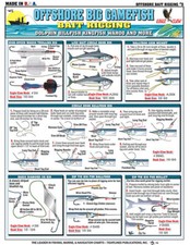 Bait Rigging Chart 5 - Dolphin