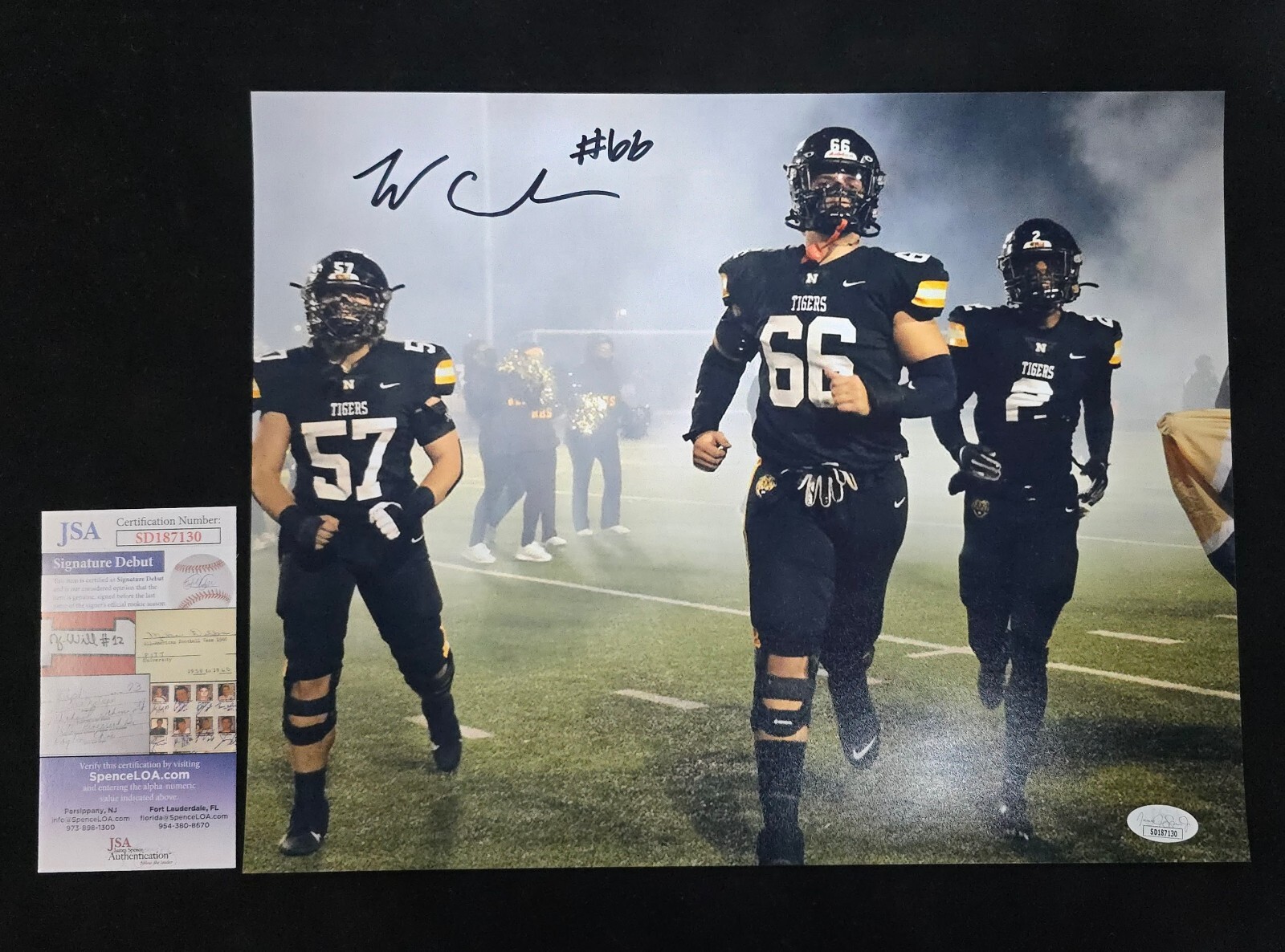 Picture 1 of 1