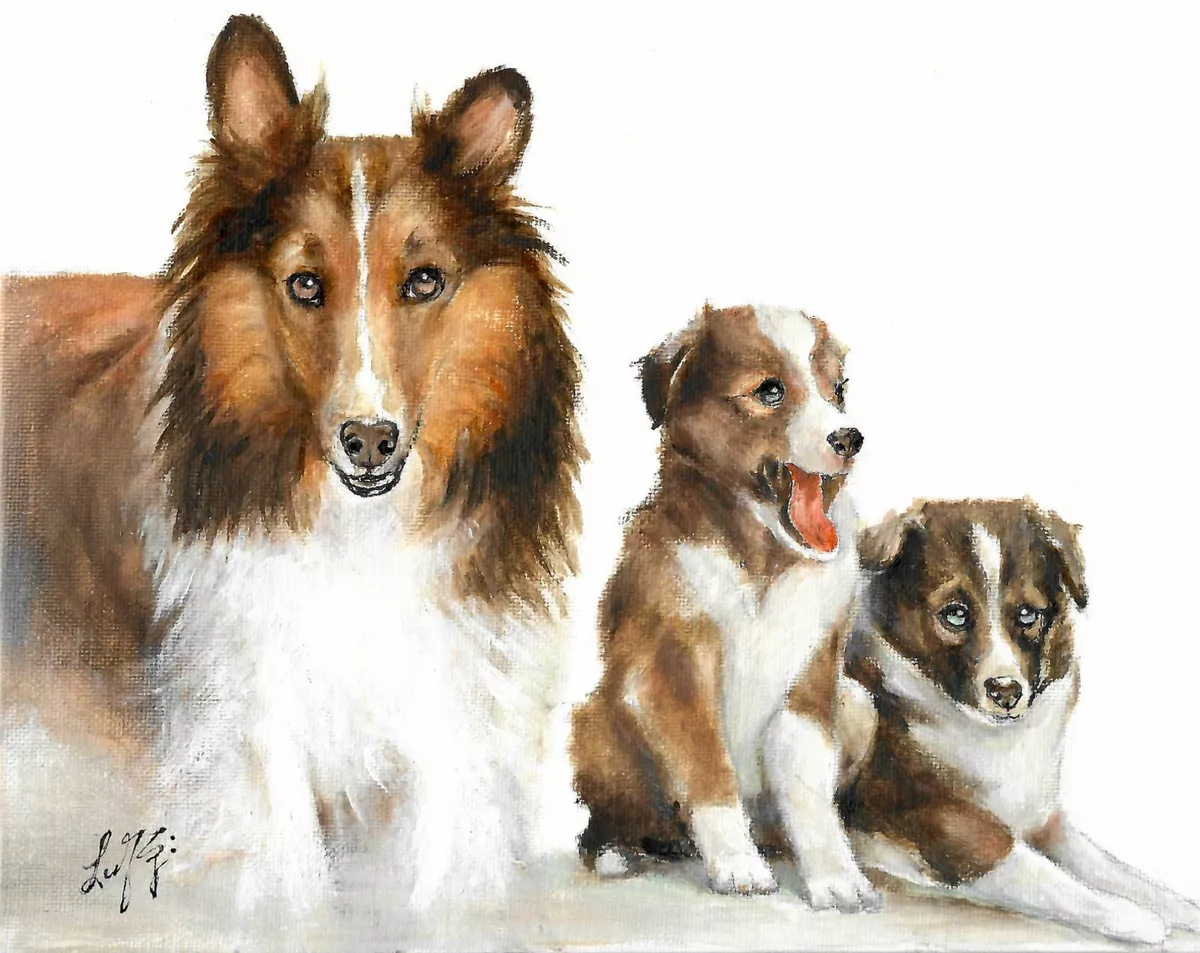 ORIGINAL Oil Dog Portrait Painting SHETLAND SHEEPDOG Artist Signed Art COLLIE