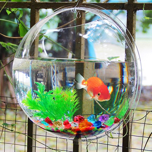 Wand Aquarium Aquarium Aquarien & Fisch Schalen Kugel Aquarium - Bild 2 von 12