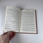 Foto 10 di 12