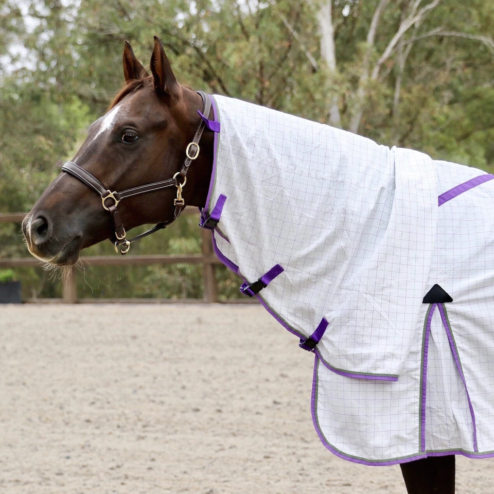 Capriole Ripstop Cotton Purple & Lime Green Check Summer Horse Combo Rug - image 2 of 4