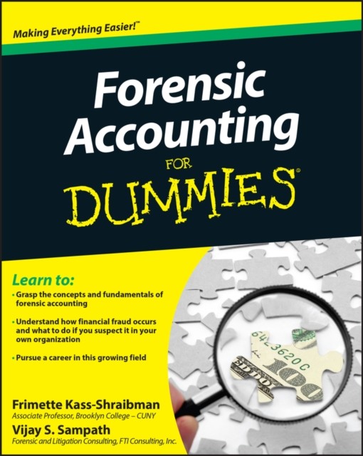 Forensic Accounting For Dummies by Frimette Kass-Shraibman, V... - - Image 4