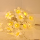 Bild 2 von 10