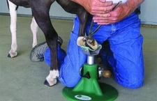 MINIATURE Horse HOOFJACK Mini Farrier Hoof Stand trimming