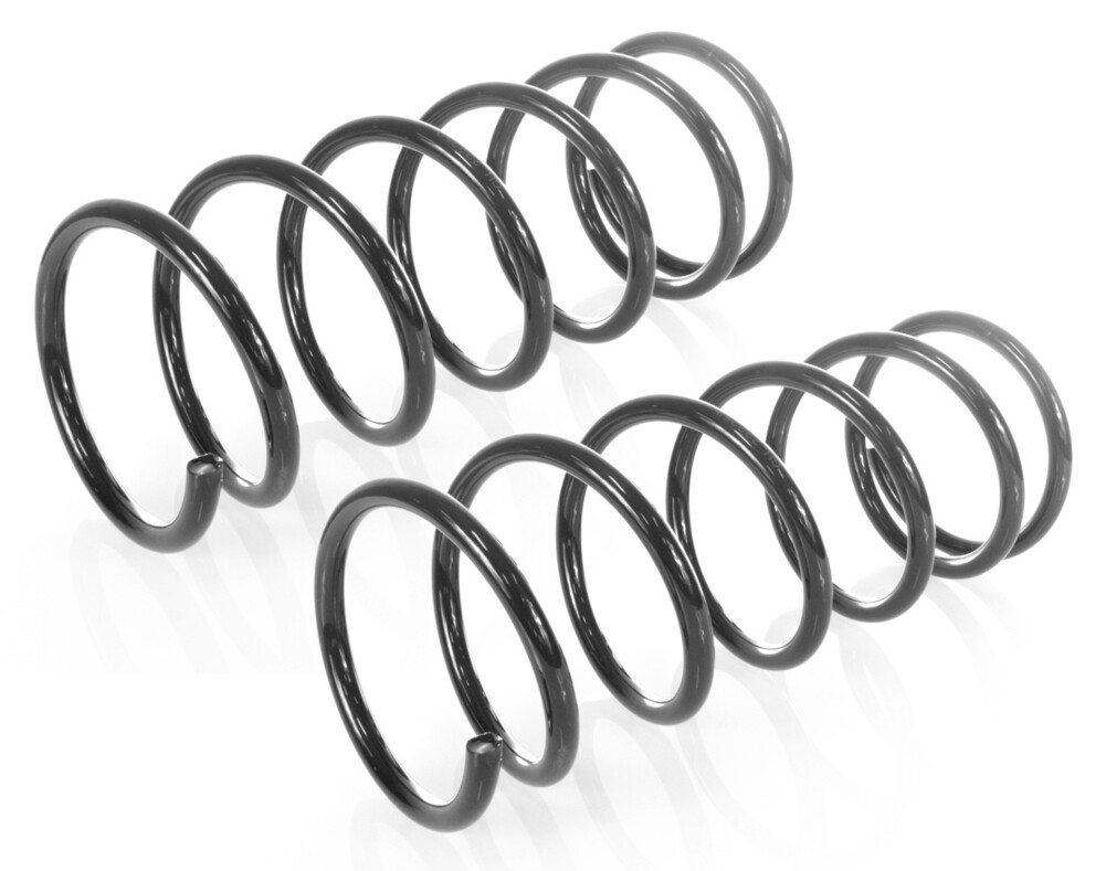 2x Coil Springs Rear Right and Left for NISSAN PATHFINDER (R50) 1996-2004